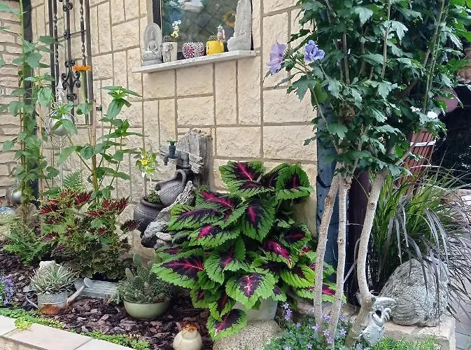 Usis_ferienwohnung Im Harz Quedlinburg